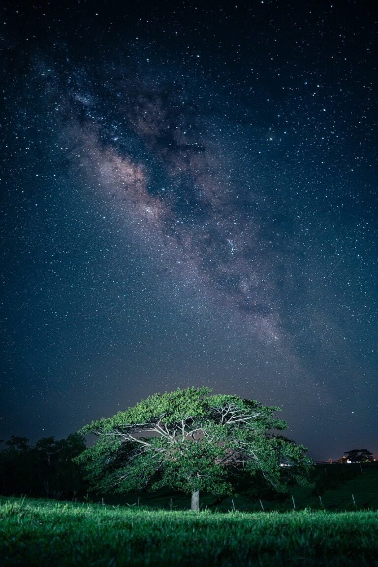 tree-rain-milky-way-8175062